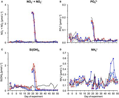 Response of Subtropical Phytoplankton Communities to Ocean Acidification Under Oligotrophic Conditions and During Nutrient Fertilization